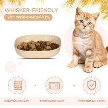 猫粮碗套装，浅平底猫/小型犬喂食碗，有助于缓解胡须疲劳 - kittens and puppies - 查看 5