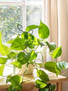 2/4件金属叶形植物支架，适用于攀援植物、盆栽植物、迷你植物、室内植物、园艺工具，是园艺爱好者的理想礼物，适用于盆栽植物、红掌、虎尾兰、花卉、龙血树等。 - A - 查看 4