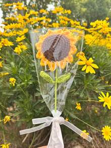 1pc Artificial Flowers Crochet Flower Bouquet, Rose Sunflower Cupcake Flower Animal Head Bouquet, Mother's Day, Graduation Party, Graduation Season,Birthday, Teacher's Day Gift,Packaging Ribbon Finished Real Dried Flower Bouquet - Multicolor - View 14