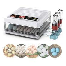 AGEDBAFCH 64 Egg Incubator Dual-Electric Multifunctional Design - 美規A型插(110-127V) - 查看 1