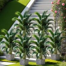 1/2/3/4/5/6 件套装，包含各种大型人造植物——招财树和天堂棕榈，免维护宽叶热带雨林装饰树，适合户外使用，全年室内/室外盆栽植物，北欧风格仿真树，适用于婚礼、酒店、花园、露台、慕尼黑啤酒节、巴士底日、祖父母节、母亲节、父亲节装饰，现代绿色叶子地面摆放摄影道具。 - 綠色 - 查看 2
