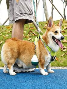 可拆卸狗狗旅行水瓶 - 防漏、可折叠、便携设计，耐用塑料材质，适合户外远足、小型宠物饮水器、户外遛狗饮水、猫咪旅行水杯 - 彩色 - 查看 9