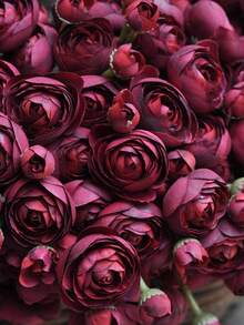 6 flores artificiales de ranúnculo, rosas falsas, mini ranúnculos de seda, flores artificiales a granel para ramo de novia, centro de mesa, despedida de soltera, San Valentín, decoración del Día de la Madre. - Ver 3