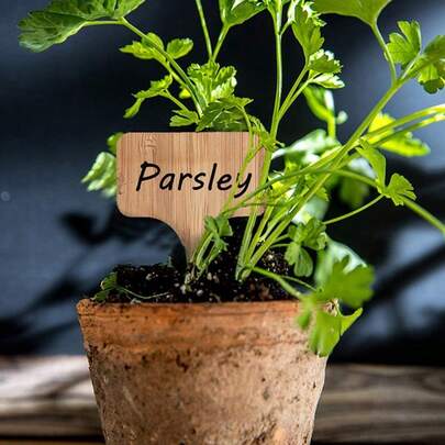30 piezas de etiquetas de plantas de madera con un bolígrafo marcador, marcadores de plantas de madera tipo T, letreros de jardín, etiquetas de jardín para semillas, hierbas en maceta, flores y verduras, 2.4 x 3.9 pulgadas