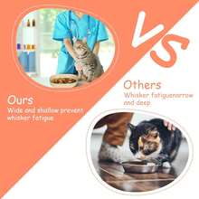 猫粮碗套装，浅平底猫/小型犬喂食碗，有助于缓解胡须疲劳 - kittens and puppies - 查看 4