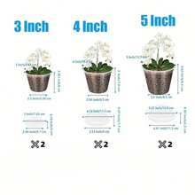 3个/6个装混合装高品质兰花种植盆，带托盘，经久耐用，透明带排水孔，有利于植物生长，适合初学者种植，室内外均可使用。 - 3/4/5吋混合款-附托盤 - 查看 6