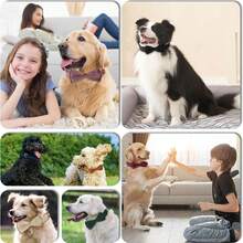 Bộ vòng cổ cho chó bằng vải nhung kèm dây xích và nơ, vòng cổ cơ bản mềm mại, tháo nhanh dành cho chó nhỏ, vừa và lớn. - màu đen - Xem 5