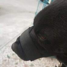 可调节透气防咬狗嘴套，适合小型犬和大型犬，尼龙带 - 彩色 - 查看 8