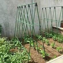 18件組耐用金屬花園攀緣植物支撐套裝:完整的植物支撐套件,包含耐用金屬框架與加厚PVC塗層鋼管。套裝內含3根橫桿、6根立柱、3個A型叉接頭和6個彈簧夾。非常適合支撐小黃瓜、豆類、番茄等蔓生作物,耐用且可重複使用的植物支撐方案。 - 18PCS 植物架 - 查看 9