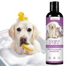 2-Piece Pack - Pure Lavender Essential Oil Pet Shampoo - Has The Functions Of Cleaning, Moisturizing And Adding Fragrance. Does Not Contain Irritating Ingredients. This Is A Pet-Friendly Shampoo Specially Designed By "Pet Owners". - View 2