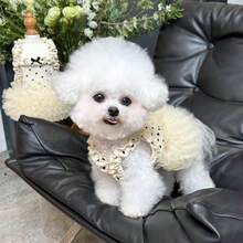 1件女士狗狗/猫咪白色波点蕾丝荷叶边蝴蝶结装饰薄纱裙，透气柔软公主风宠物服装，适合小型犬/猫日常穿着/摄影/派对 - 彩色 - 查看 6