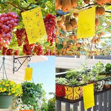 Kensizer 20-Pack Fruit Fly Trap, Yellow Sticky Gnat Traps Killer For Indoor/Outdoor Flying Plant Insect Like Fungus Gnats, Whiteflies, Aphids, Leaf Miners - 6x8 In, Twist Ties Included - 20-Pack - 查看 3