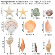 Sea Shells Mixed Beach Seashells 9 Kinds 1.2"-3.5 "Various Sizes Natural Seashells And 2 Kinds Of Natural Starfish For Beach Themed Party DIY Crafts Fishtank Vase Fillers Home Wedding Decorations - Various - View 7