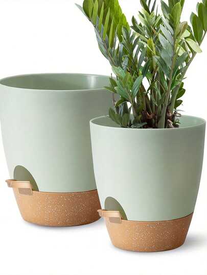 5 chậu trồng cây tự tưới, kiểu dáng suông, hai màu đơn giản bằng nhựa với ngăn chứa nước trong suốt, thích hợp trồng các loại cây xanh như trầu bà, cây mọng nước, cây lưỡi hổ, xương rồng, dễ sử dụng cho người mới bắt đầu, bền bỉ cho sử dụng trong nhà, ban công, văn phòng.