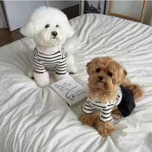 Pet Clothes Striped Simple Breathable  Dress For Small Pets - 黑與白 - 查看 12