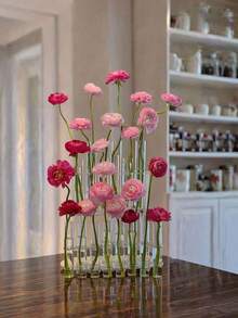 6pcs Transparent Household Test Tube Vases, Hydroponic Flower Pots, For Home Decor Vases, Holiday Gift, Stylish Glass Decorative Items, Fresh Flowers, Hydroponic Plant Containers, Decorative Vase Set For Home Arrangements - A - View 3
