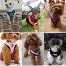 2pcs/Set Ultimate Comfort Mesh Cat/Dog Leash And Harness Set - Breathable, Reflective, Adjustable Pet Vest Harness With Leash, Suitable For Small Dogs And Cats, Easy Walking And Training, Durable - Multicolor - View 3