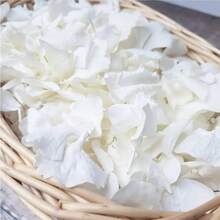 12/30/60/100g Pack Rose Petals, White Rose Petals, Suitable For Foot Bath, Body Wash, Spa, Wedding, Home Fragrance, DIY Craft Supplies - White Hydrangea Petals - View 2