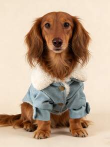 1件宠物衣服，狗狗猫咪套装，贵宾犬泰迪小型犬幼犬连衣裙，快乐小狗小猫休闲时尚可爱舒适英文字母连帽衫 - 藍色 - 查看 3