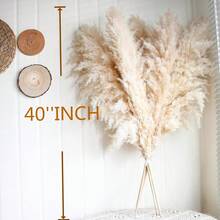 40" Inch 30 Stems Natural Pampas Grass Decor Tall, Pampas Grass, Tall Pampas Grass For Wedding, Party, Farmhouse, Boho Home Decor - Multicolor - View 4