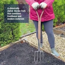 Forks - Initial - View 4