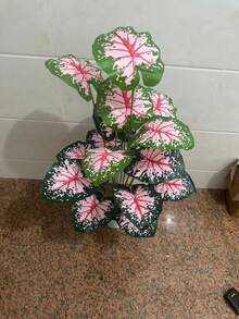 大型仿真粉色龟背竹盆栽，大型仿真棕榈树装饰，粉色叶子盆栽，常绿逼真高大热带植物，高大逼真塑料龟背竹叶植物，人造植物装饰，适用于家居、办公室、花园、酒店、室内外（不含花盆） - 彩色 - 查看 5