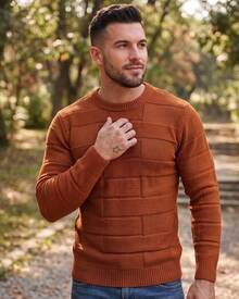 Men's Textured Knit Sweater, Winter Long Sleeve Round Neck Blouse, Modern Knit - màu đen - Xem 5