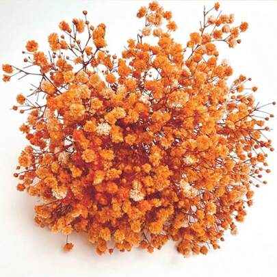 25/50/100/300 bông hoa baby's breath nhân tạo thu nhỏ - Dùng cho khuôn nhựa, nghệ thuật và thủ công, bó hoa màu trắng ngà dùng làm phụ kiện tóc, vòng hoa cưới, trang trí bàn, trang trí nhà cửa.