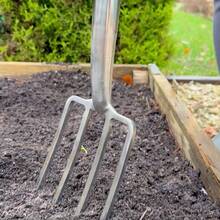 Forks - Initial - View 6