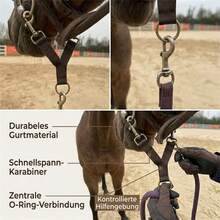 Gancho de bocado de caballo de 2 cabezas, Gancho para cuerda de guía de caballo, Cuerda de conexión para entrenamiento ecuestre, Gancho colgante doble para boca de caballo, Suministros ecuestres - Picana - Multicolor - Ver 10
