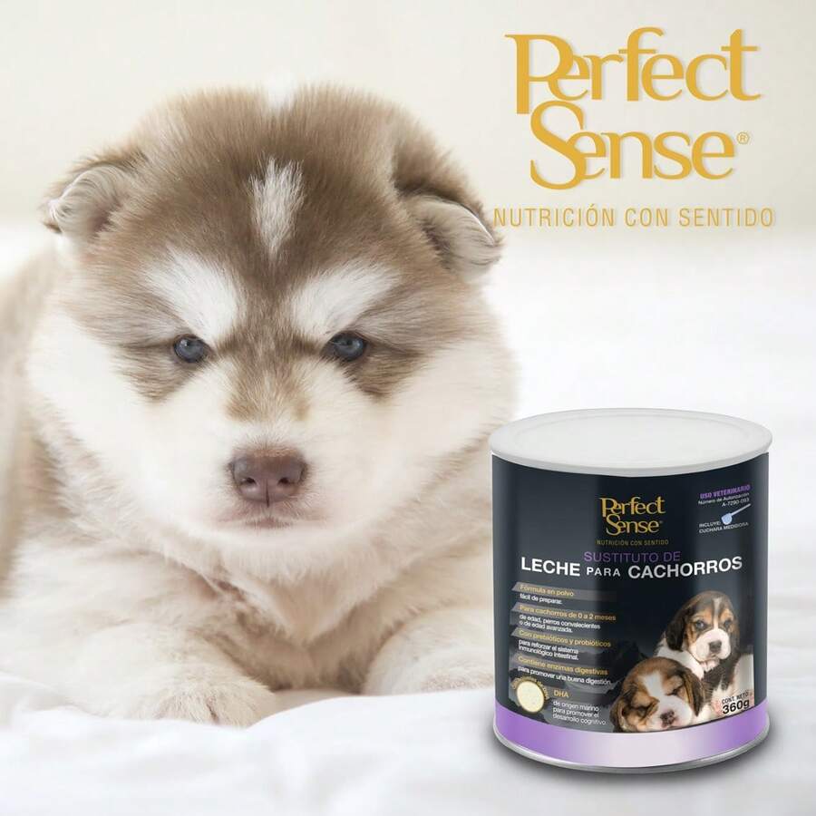 FANCY PETS Perfect Sense Milk Replacer Powder For Puppies With DHA Flakes Contains 360 Grams - g - View 1