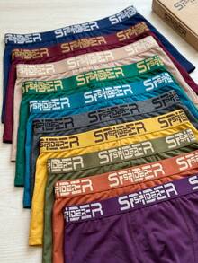 Kit 10 Men's Spyder Boxer Briefs Comfortable Original Father's Day Promotion - 彩色 - 查看 2