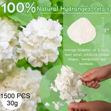 12/30/60/100g Pack Rose Petals, White Rose Petals, Suitable For Foot Bath, Body Wash, Spa, Wedding, Home Fragrance, DIY Craft Supplies - White Hydrangea Petals - View 7