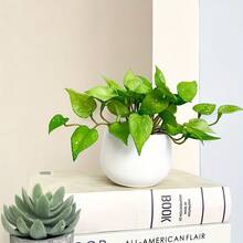 2pcs Artificial Maidenhair Fern And Clover Plant Set, For Wall Decor, Soft Mini Bouquet, Handmade Fake Ivy Leaves, Suitable For Garden, Desktop Bonsai, Home, Shop And Office Decoration - Multicolor - View 4