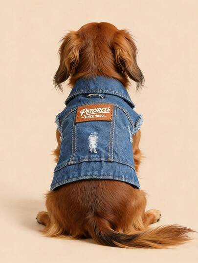 PETCIRCLE 1件宠物衣服，狗狗/猫咪套装，时尚可爱小型犬服装，舒适时尚外套