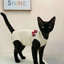 Lightweight Sleeveless T-Shirt With Embroidered Pony Design, Breathable And Shedding-Resistant Clothing For Sphynx Cats In Summer - Army Green - View 7