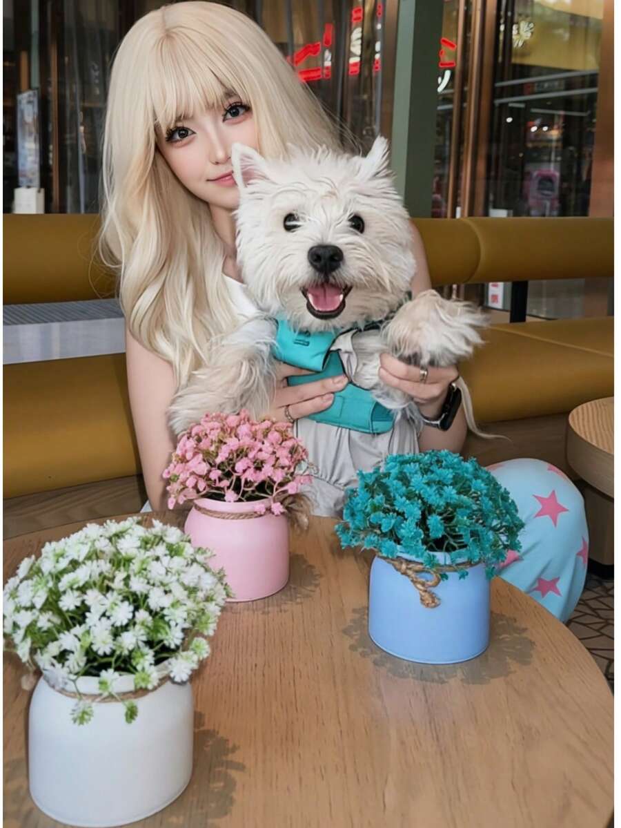 Doraeyun Set de 3 macetas elegantes con flores de Gypsophila - Decoración única para el hogar para sala de estar, oficina, escritorio o estantería | Canasta de flores/Colocación en el escritorio de la oficina | Regalos para el Día de San Valentín, días festivos | Estructura de plástico/Adecuado para cualquier festividad: Pascua, Acción de Gracias, Día de la Madre, Día del Padre, regalos de cumpleaños, lindas plantas de Gypsophila en maceta