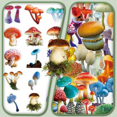 50 miếng dán trang trí trong suốt hình nấm, cây cối, phong cách cổ tích, ngoài trời, thiên nhiên, nhiều màu sắc, dùng cho sổ lưu niệm.