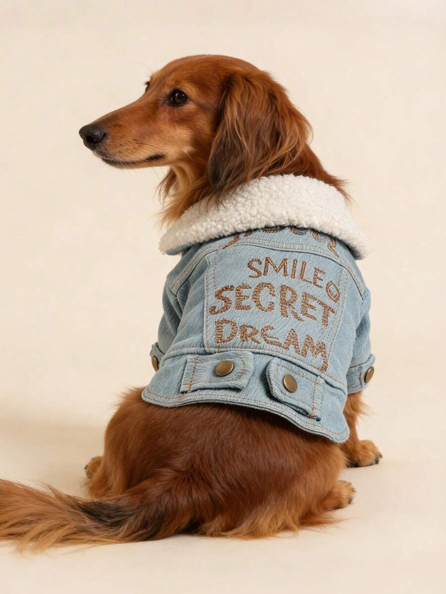 1件宠物衣服，狗狗猫咪套装，贵宾犬泰迪小型犬幼犬连衣裙，快乐小狗小猫休闲时尚可爱舒适英文字母连帽衫