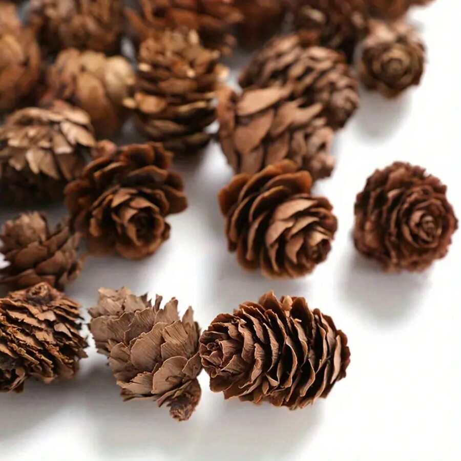 20/50个仿真松果,方便的迷你装饰松果,秋冬季节日仿真松果,逼真的家居花环装饰礼品,情人节/生日/毕业礼物,仿真植物 - 棕色 - 查看 1