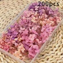 100/200/500/1000朵多色绣球花 - 非常适合DIY工艺品、蜡烛、婚礼、手工项目、圣诞节 - 彩色 - 查看 19