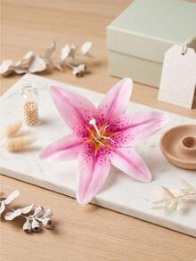 1/2 piezas Clip de pelo con forma de flor de lirio rosa de estilo bohemio, elegante y dulce, accesorio decorativo para la playa, vacaciones, temporada de verano, flequillo lateral. Clips de pelo, artículos escolares, clips de pelo rosa, accesorios femeninos, accesorios para el cabello, accesorios para la cabeza, accesorios de San Valentín, accesorios para el cabello para mujeres, pasador de pelo - Multicolor - Ver 3