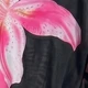 Black Pink Flower