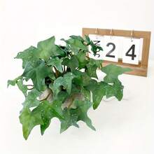 2pcs Artificial Maidenhair Fern And Clover Plant Set, For Wall Decor, Soft Mini Bouquet, Handmade Fake Ivy Leaves, Suitable For Garden, Desktop Bonsai, Home, Shop And Office Decoration - Multicolor - View 9