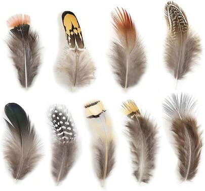 180pcs 9 Styled Natural Feathers Assorted Mixed Feathers For Jewelry And Dream Catcher Crafts