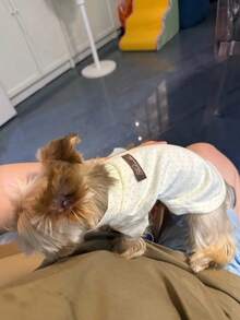 小型犬波点纽扣衬衫：柔软可爱的小型犬（马尔济斯犬/贵宾犬）宠物服装，时尚的室内外宠物服饰，舒适轻便的小型犬休闲上衣 - 彩色 - 查看 10