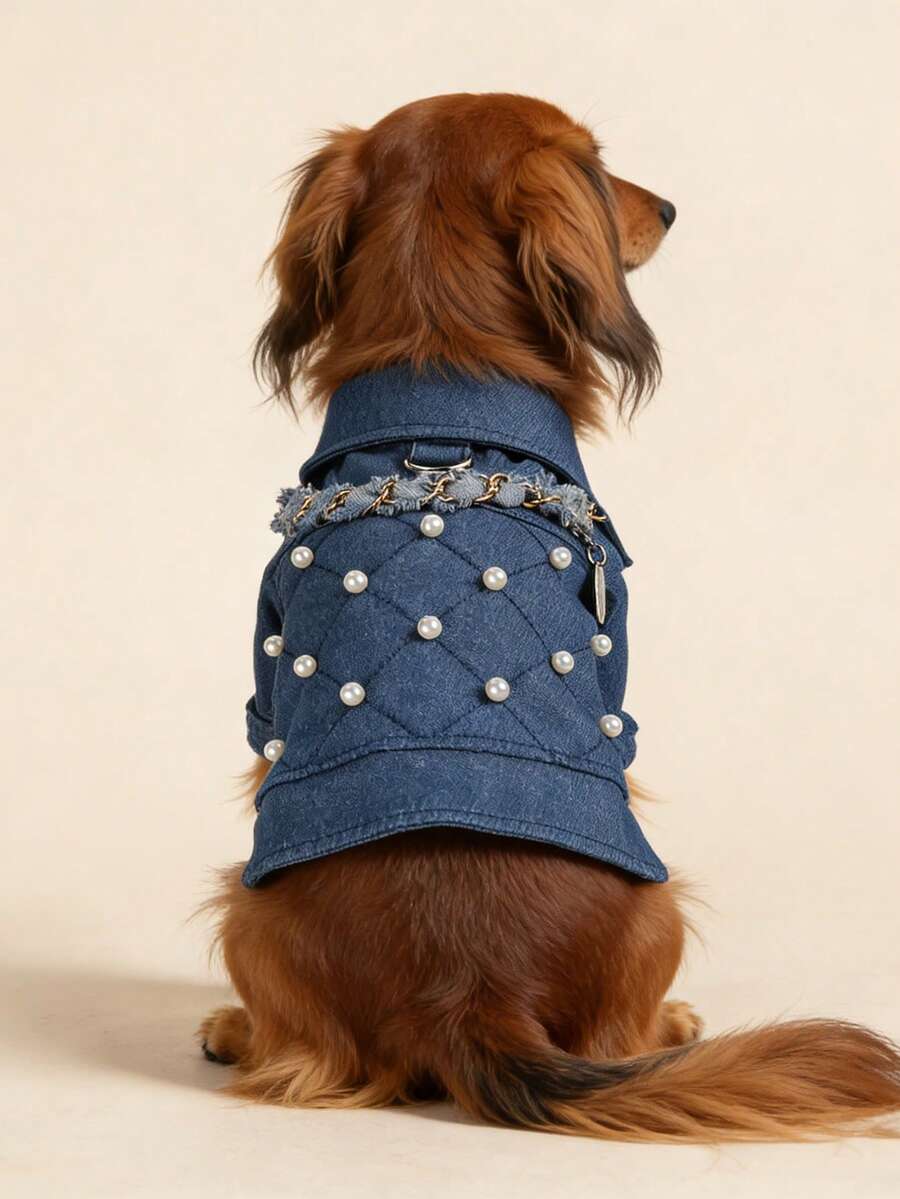 1件宠物衣服，狗狗/猫咪套装，贵宾犬/泰迪犬幼犬服装，时尚休闲可爱舒适珍珠链外套