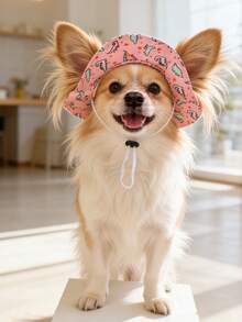 Sombrero de sol a prueba de viento lindo, material de poliéster, diseño con orejas expuestas, antideslizante y antidesprendimiento, accesorio esencial para perros y mascotas, adecuado para que mascotas pequeñas lo usen al aire libre todo el año - Multicolor - Ver 2