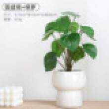 リビングルームバーデコレーション用人工緑植物鉢植え、造花、高級フラワーアレンジメント装飾品 - 丸型ポットポトス - チェックする 7