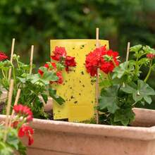 Gideal 20-Pack Dual-Sided Yellow Sticky Traps For Flying Plant Insect Such As Fungus Gnats, Whiteflies, Aphids, Leafminers,Thrips - (6x8 Inches, Included 20pcs Twist Ties) - 20-pack - View 2